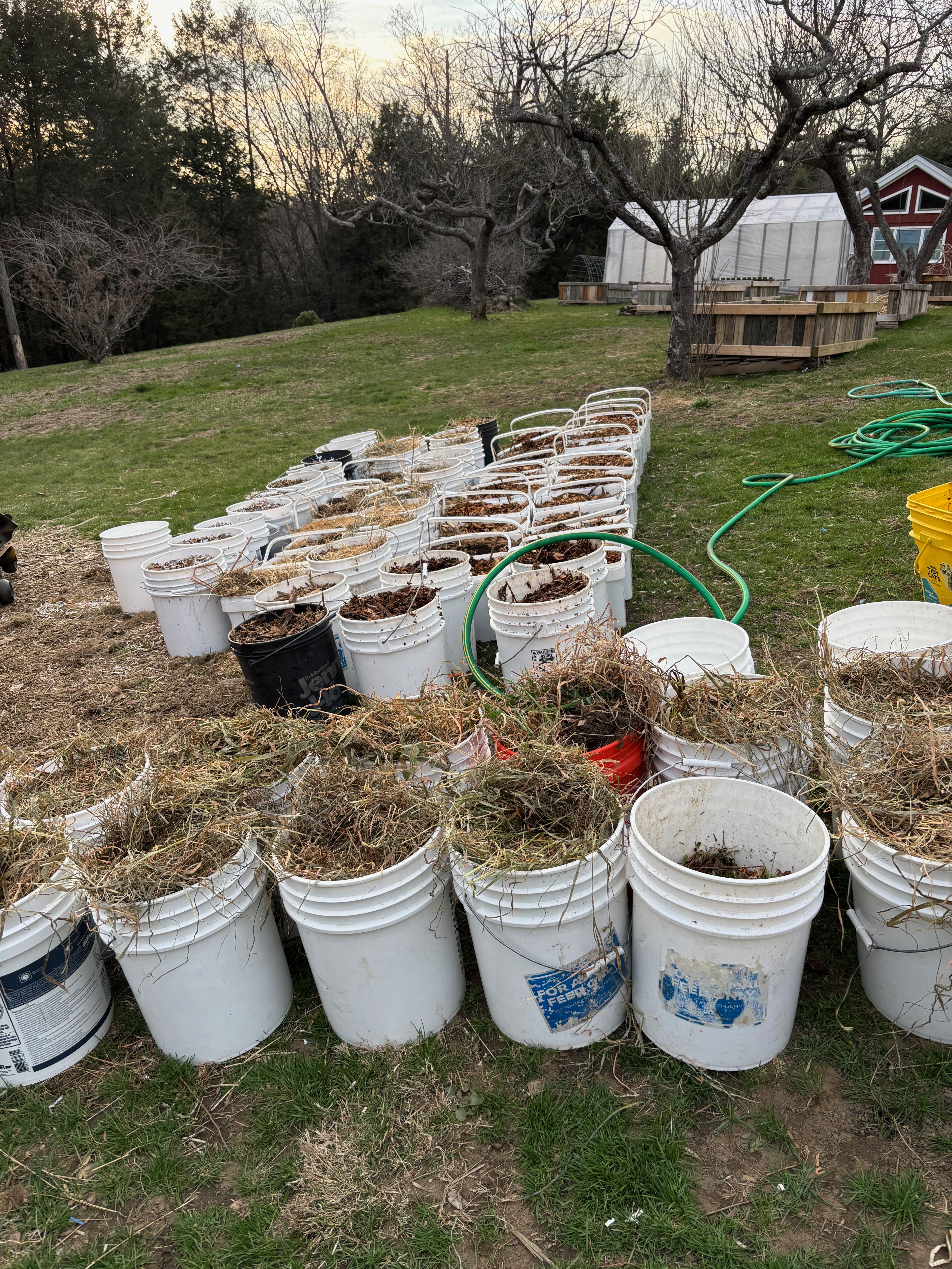 Rows of compost buckets on the farm