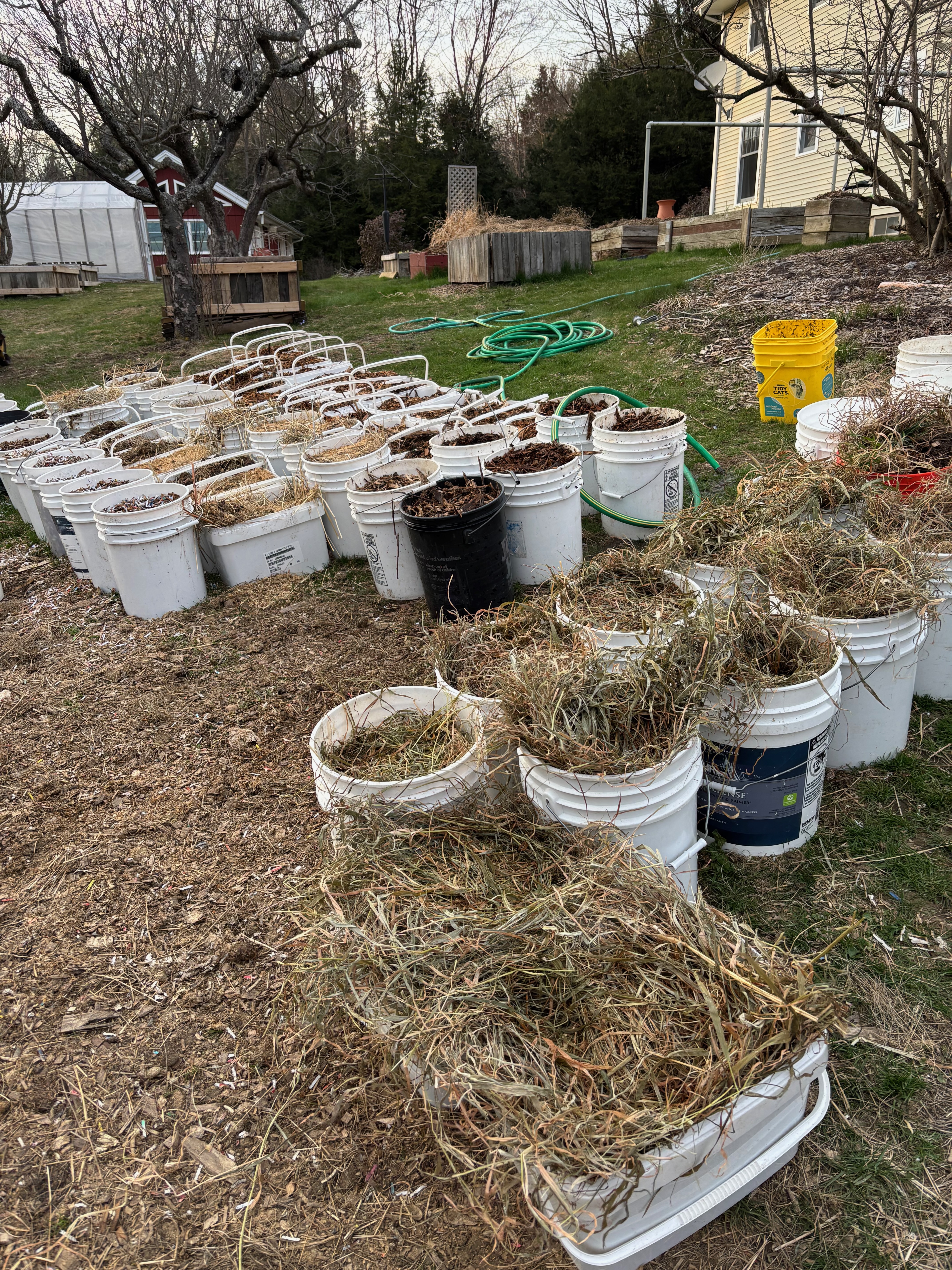 Rows of vermicompost buckets on the farm